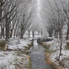 Tramo del río Vena de la capital burgalesa cubierto por la nieve y el hielo. ECB