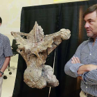 Torcida (izq.) y Canudo (dch.) posan junto a una vértebra dorsal del gran dinosaurio, ante la mirada del director científico del MEH, Juan Luis Arsuaga (al fondo).-R.O.