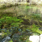 El agua del pozo de Quintanilla Valdebodre surge de un subterráneo de más de cien metros de largo.