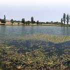 Parece una inofensiva charca, llena de ranas que bebe de las aguas de lluvia y del deshielo.-ISRAEL L. MURILLO