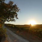 La Ruta del Vino Ribera del Duero quiere fomentar la movilidad eléctrica en estos paisajes.