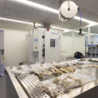 El Laboratorio de Arqueología Experimental es uno de los últimos que se han instalado en el Cenieh y que han agotado el espacio disponible.
