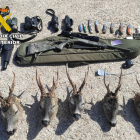 Cabezas de corzo y material de caza prohibido interceptado por la Guardia Civil de Burgos.