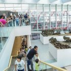 Museo de la Evolución Humana de Burgos.