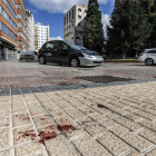 Restos de sangre al lado de la plaza Roma tras el apuñalamiento a un joven de 25 años.