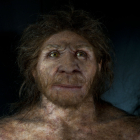 La reproducción hiperrealista del Miguelón de Atapuerca que se puede ver en el Museo de la Evolución