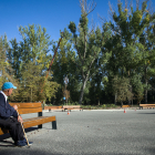 Dos trabajadores de Jardines de Burgos subidos a una grúa para podar las copas de los chopos en el parque de La Quinta.