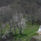 Poza de la Sal pone en valor el paisaje natural del pueblo natal de Félix Rodríguez de la Fuente e invita a conocer las diferentes rutas de senderismo que circulan por su entorno