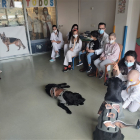 Primera sesión de terapia asistida con perros en el Servicio de Pediatría del HUBU.