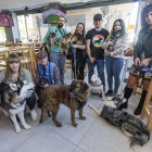 La comunidad Pet Friendly favorece la sociabilidad entre `peludos` y humanos