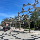 Los operarios de Urbalux trabajan en el paseo de El Espolón, cambiando las lámparas antiguas por tecnología led.