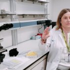 La directora del estudio, María Rodríguez, con un cultivo de células madre.