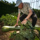 Los huertos del Soto de Don Ponce siguen llenos mientras Fuentecillas no arranca.