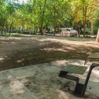 Entorno del paseo de la Isla donde podría ubicarse el futuro ambigú.