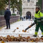 Una mujer en el dispositivo de mantenimiento de parques y jardines.