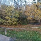 Imagen del lugar donde apareció el bebé muerto.