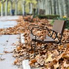 El otoño se despide tras el puente y deja paso al frío invernal.