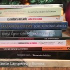 Selección de algunos de los libros publicados por autores burgaleses durante el último año.