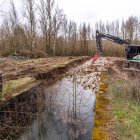 Las obras en el Humedal de Fuentes Blancas pretenden mejorar el flujo del agua que llega para ganar en biodiversidad.