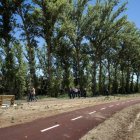 La ampliación del parque lineal del Vena, en su fase cuarta, es una de las últimas intervenciones medioambientales en esta zona.