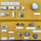 Colección de hallazgos del neolítico de Atapuerca en Portalón de Cueva Mayor.