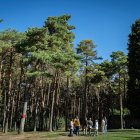 Zona del Cinturón Verde, en las cercanías de la Cartuja de Miraflores, donde comenzarán los trabajos silvícolas en el mes de octubre.