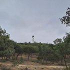 Imagen del monte de la Calabaza, que cumple 600 años como propiedad de Aranda