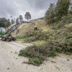 La procesadora forestal retira varios árboles talados en la ladera del Castillo.