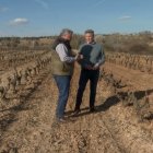 En la fotografía Feijoo conversa con el presidente de la DO Ribera del Duero en un viñedo.