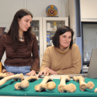 Las investigadoras han analizado 75 fémures (46 infantiles y 29 de adultos).