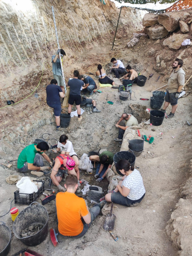 Grupos de excavaciones en Torrelara