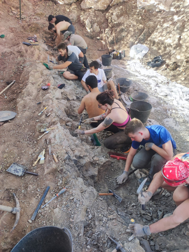 Grupos de excavaciones en Torrelara