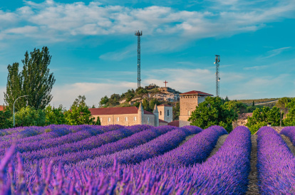 Impresionante foto de Caleruega en flor