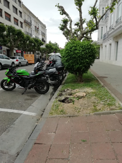 El tren chocó contra un árbol y derribó una señal de tráfico.