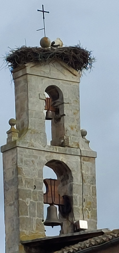 Una cigüeña esperando a su compañera en su nido sobre la espadaña del monasterio de Santa Clara de Burgos.