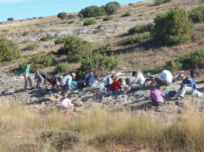 Excavación de las icnitas de Iniestapodus burguensis en Las Sereas.
