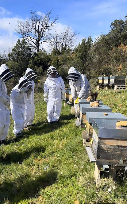 Un grupo de apicultores por un día, pertrechados con buzo y careta de seguridad, en plena visita guiada por el colmenar.