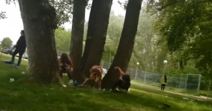 Jóvenes orinando en el parque de Palencia.