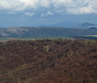 Impresiona ver el hayedo en otoño desde el alto del Otero.