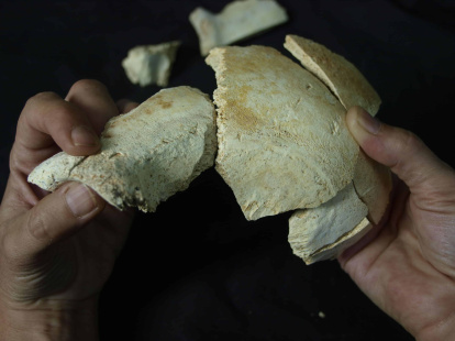 El craneo 17 antes de su reconstrucción. JAVIER TRUEBA MADRID SCIENTIFIC FILMS