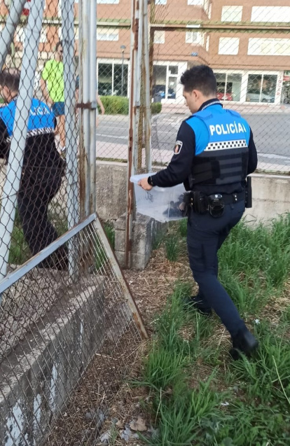 Los agentes sacan a los patitos del espacio en el que se quedaron atrapados.