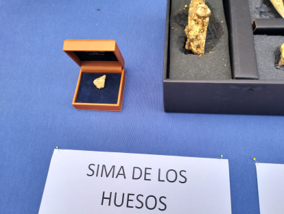 A la izquierda el pequeño trozo de cráneo extraído de la Sima.