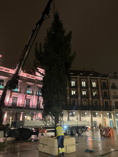 El árbol quedó instalado en la noche de este martes.
