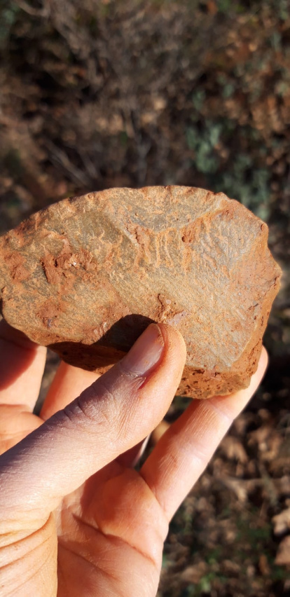Lasca de cuarcita descubierta en el nuevo yacimiento de La Revilla, en Hortigüela