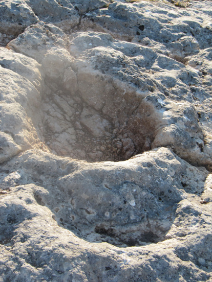 Huella in situ de Iniestapodus que son únicas en el mundo.