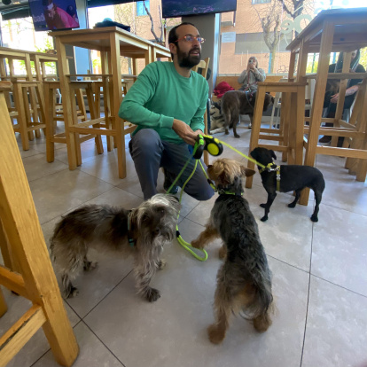 Fran con Kiri, Bruji, Gizmo