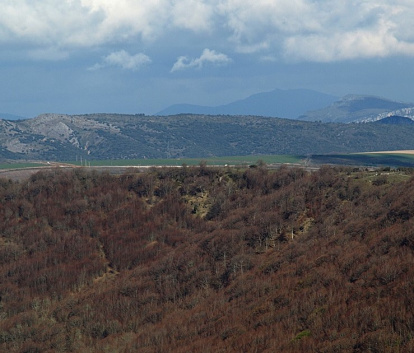 Impresiona ver el hayedo en otoño desde el alto del Otero.
