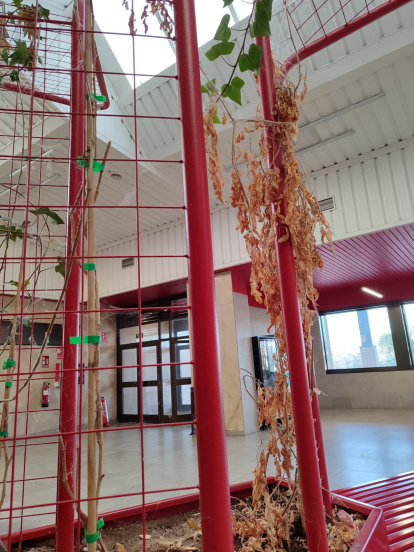 Estación de autobuses 1