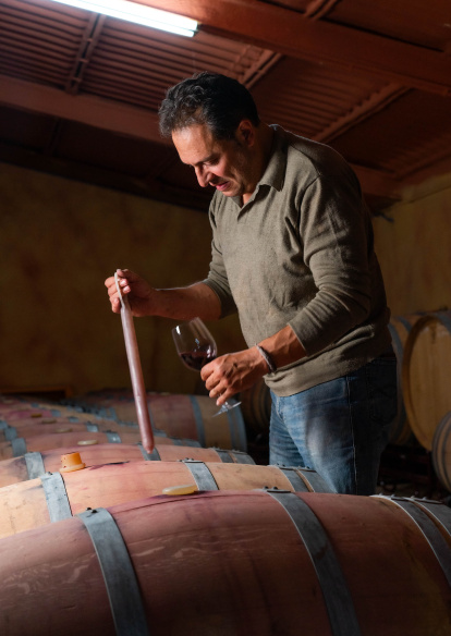 Ramiro García, presidente de la D.O. Arlanza