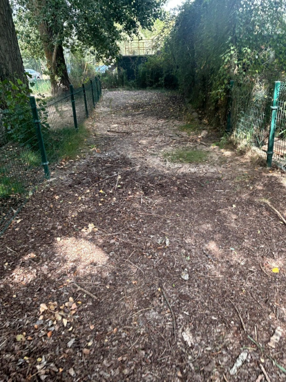 Los usuarios lamentan la falta de mantenimiento en la piscina de la Calabaza